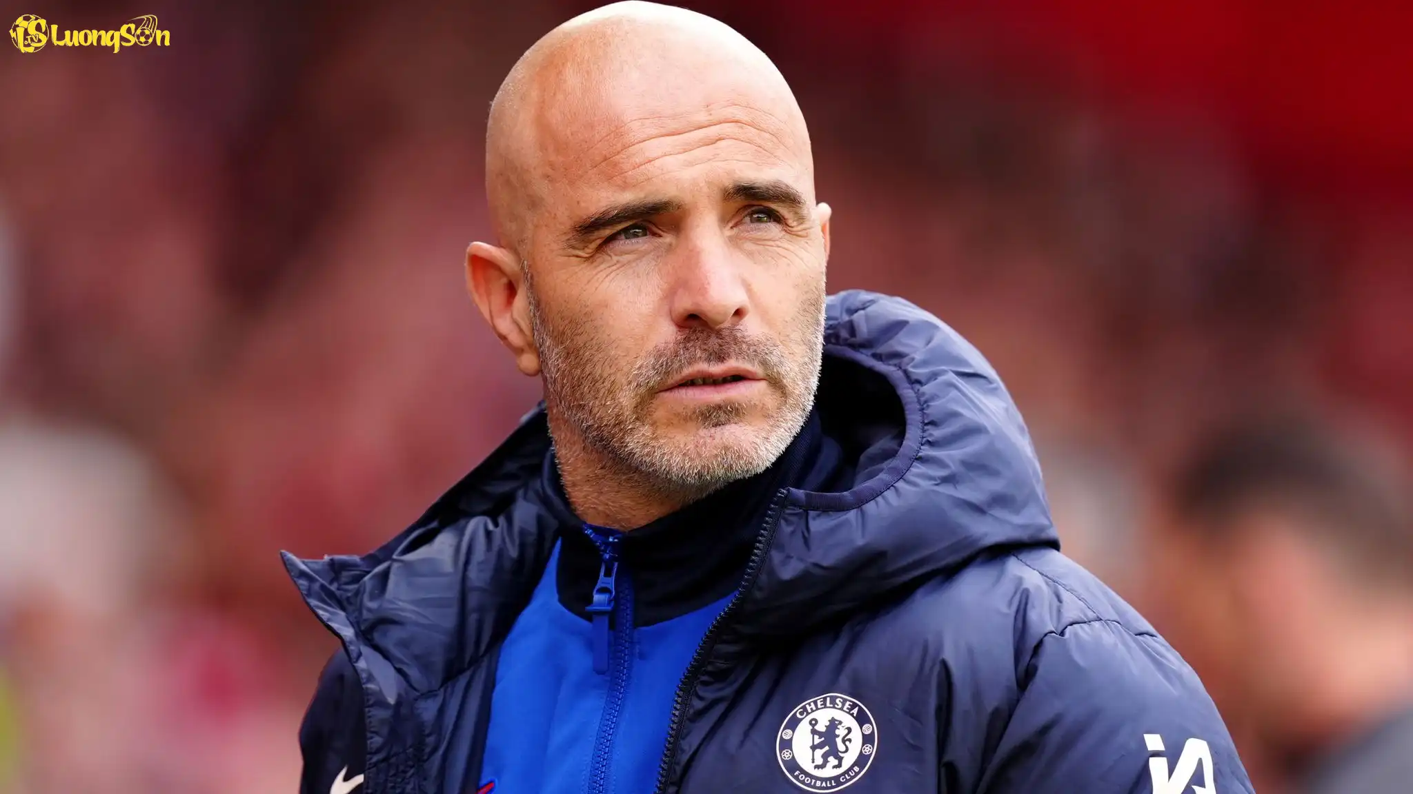 Ban lãnh đạo Chelsea vẫn đặt niềm tin vào HLV Enzo Maresca Ban lãnh đạo Chelsea vẫn đặt niềm tin vào HLV Enzo Maresca