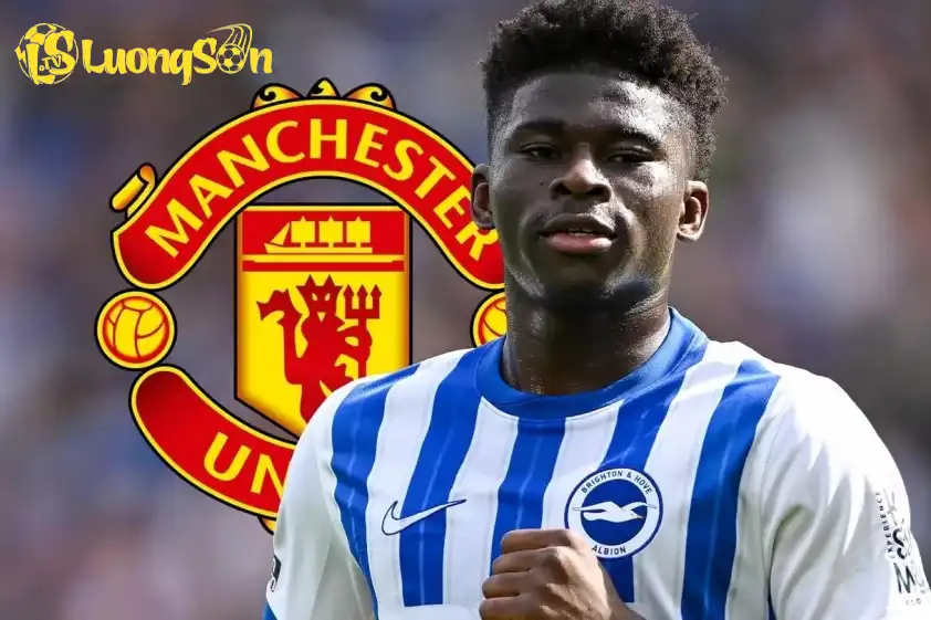 Baleba đang thể hiện phong độ rất tốt trong khoảng thời gian vừa qua. Ảnh: The Sun Baleba đang thể hiện phong độ rất tốt trong khoảng thời gian vừa qua.