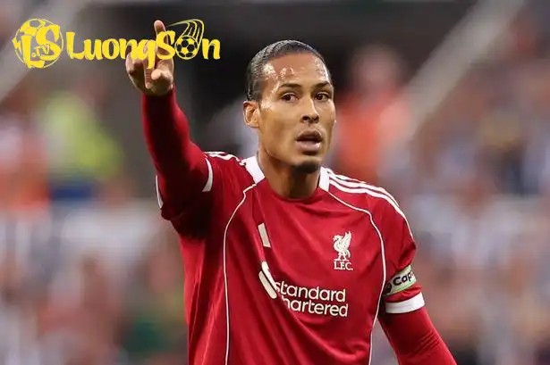 Van Dijk dễ dàng chiếm 1 suất trong đội hình kết hợp Van Dijk dễ dàng chiếm 1 suất trong đội hình kết hợp